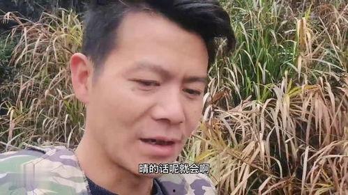 牛不啦二嫂最新爆料,揭秘娱乐圈惊人内幕